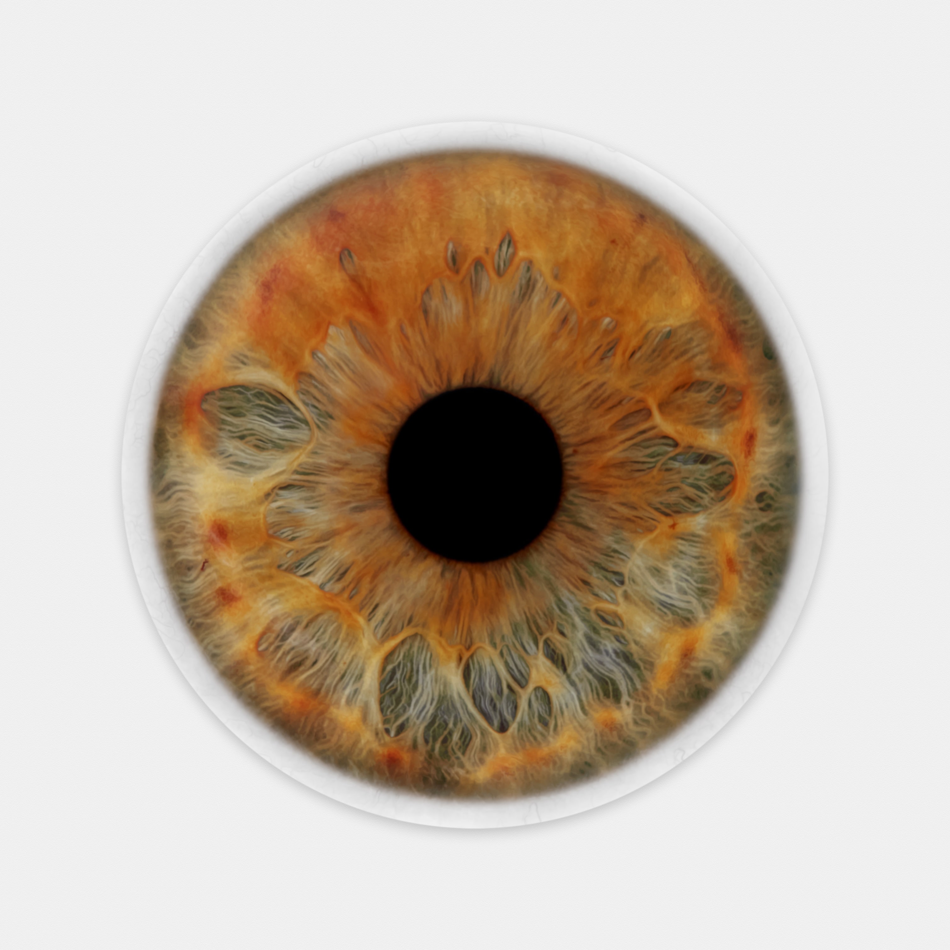 1551666679372360.jpg We Share Our Chemistry with the Stars - MQ2019 - title TBC-min.jpg