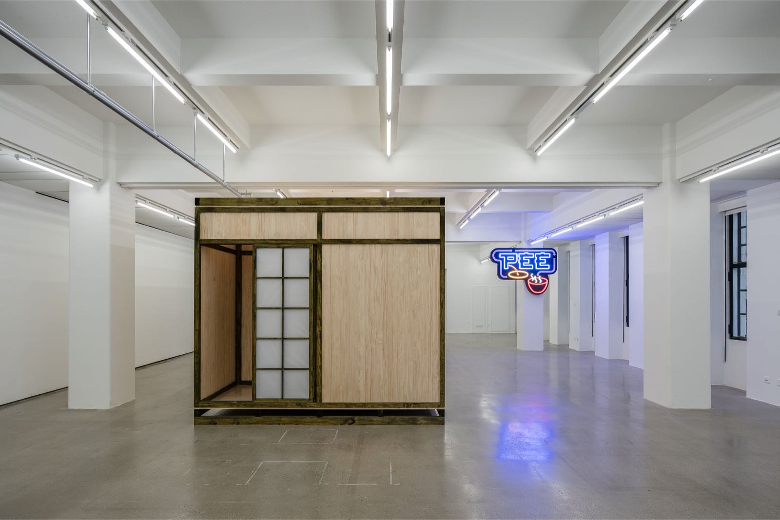 1556075017914621.jpg 5.jpg