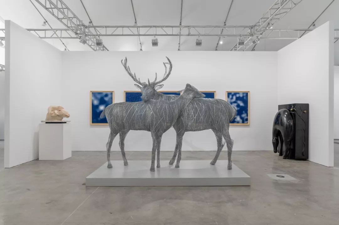 1573798558443442.jpeg 1573453258444014.jpeg